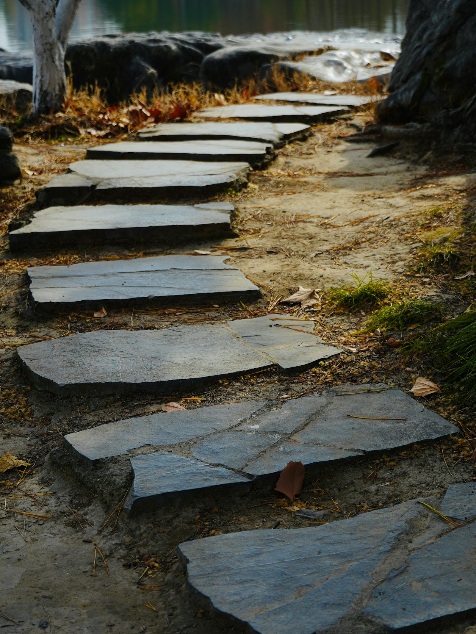 Natural-stone walkway through a planted bed leading toward a wood front door.